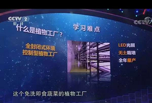 上央视 获500万融资 智能LED植物照明工厂被关注