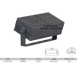 拓龙照明双头模组led投光灯