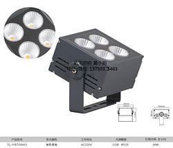 拓龙照明led户外大功率泛光灯