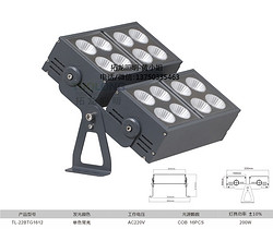 拓龙双头大功率200W户外COB足瓦投射灯