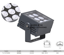 拓龙户外防水IP66聚光灯一束光外墙照射灯