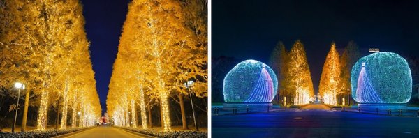 罗姆以独特LED技术打造京都最大规模灯光盛宴
