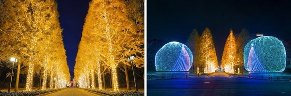 羅姆以獨特LED技術(shù)打造京都最大規(guī)模燈光盛宴