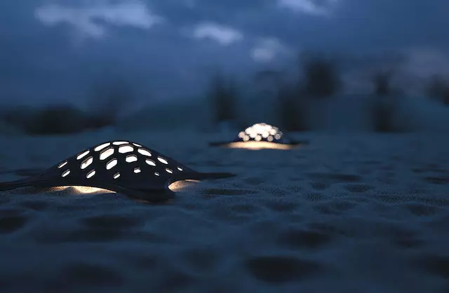 海龟形状的户外灯