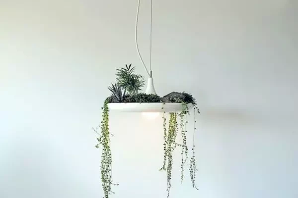 綠色生態(tài) 盆景吊燈