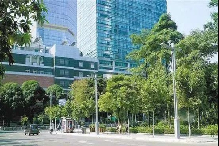 智慧路燈試點(diǎn)項(xiàng)目遍地開(kāi)花