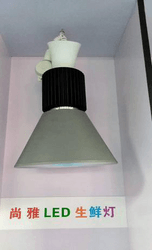 LED 生鲜灯2