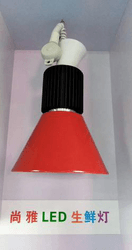 LED 生鲜灯3