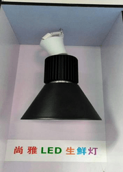 LED 生鲜灯4