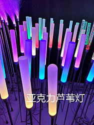 亚克力芦苇灯