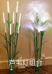 芦苇灯组合