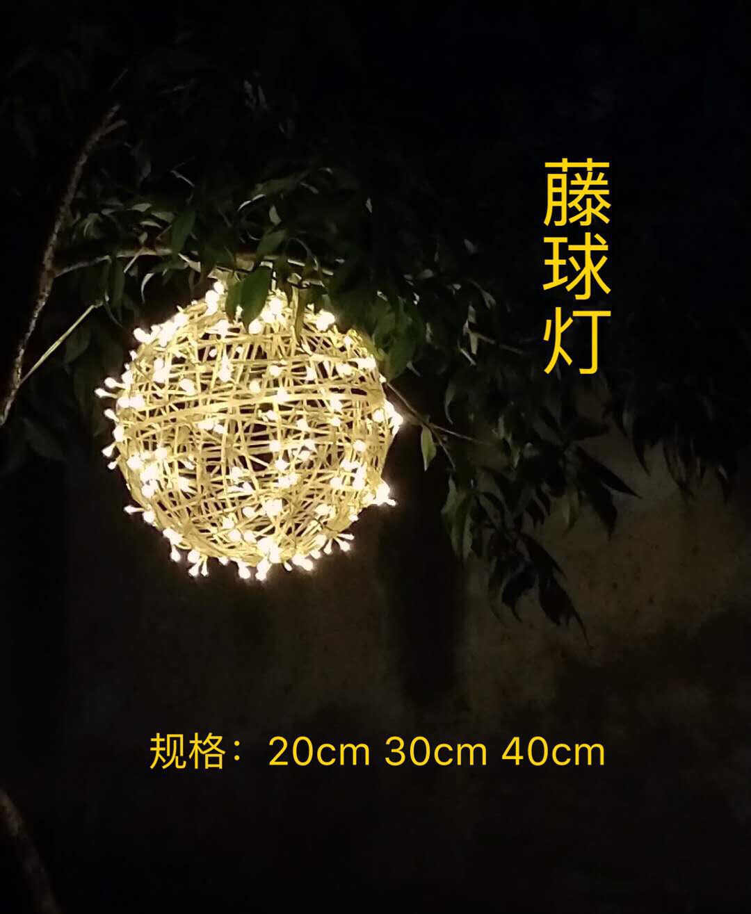 藤球灯