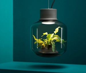 用LED燈養(yǎng)一盆綠植Mygdal Plantlights