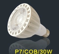 帕泡P7(COB)