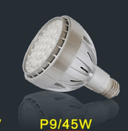 P9/45W简约节能LED帕泡