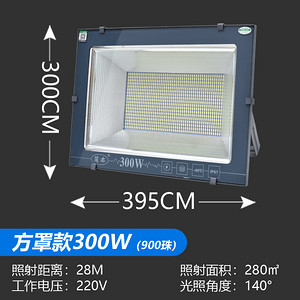 方罩300W投光灯