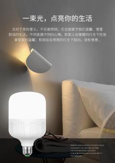 经典款球泡A-1084