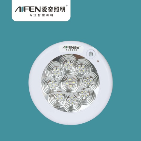 LED智能感应吸顶灯