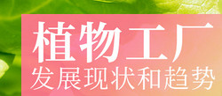 【古镇灯博会明人在线】仝宇欣 :植物工厂发展现状和趋势