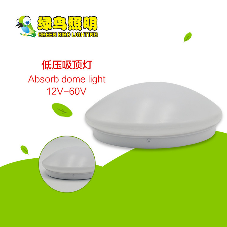 白色超亮低压12V-60V吸顶灯