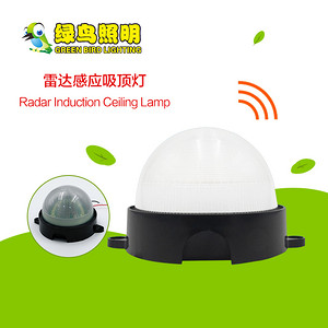 半圆球黑色底板半透明灯罩雷达感应吸顶灯