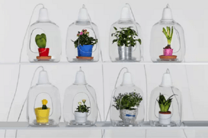 可以放花草的燈具