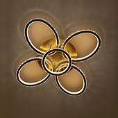 创意设计花瓣形暖光吸顶灯(1+4圆环)