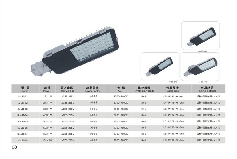 牙刷系列多瓦数LED路灯