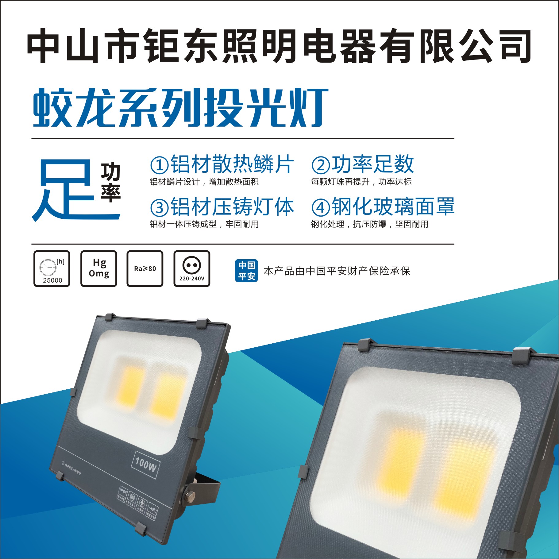 钜东蛟龙系列投光灯