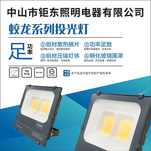 钜东蛟龙系列投光灯
