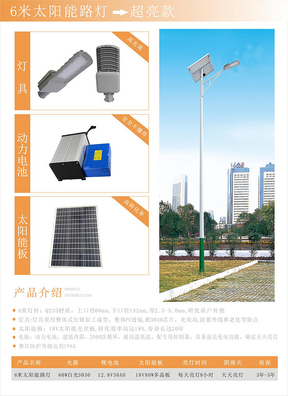 聚赢6米路灯超亮款