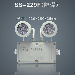 智能消防应急防爆应急灯SS-229F