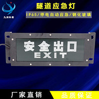疏散方向应急标志灯