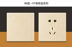86型-V7香槟金系列面板开关10