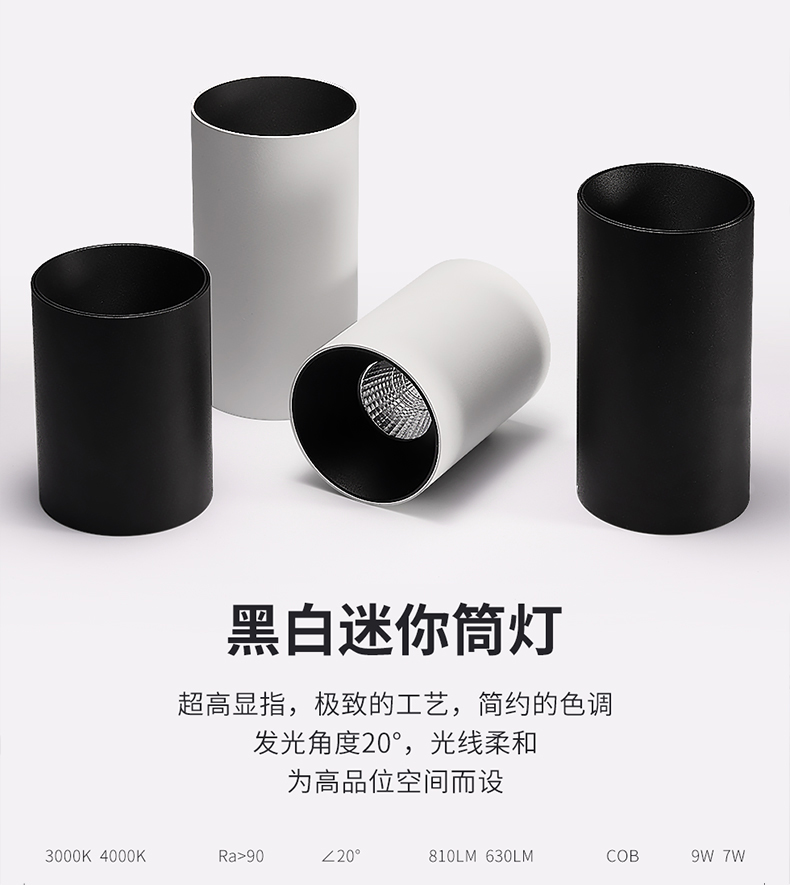 箭牌明装长筒射灯7002