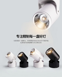 箭牌明装调角度射灯7005