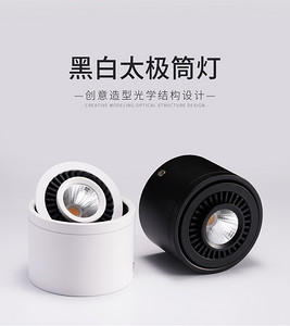 箭牌明装太极黑白射灯7010