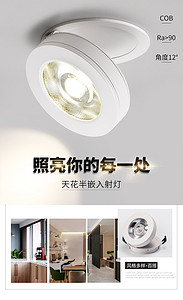 箭牌天花半嵌入小角度射灯8002