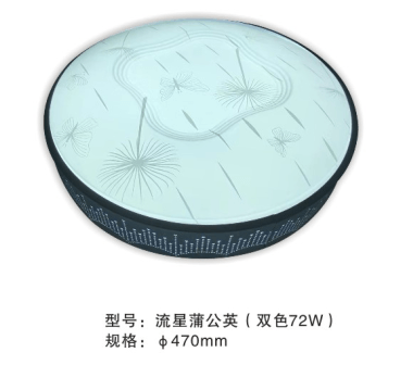 雄盟流星蒲公英双色72W吸顶灯