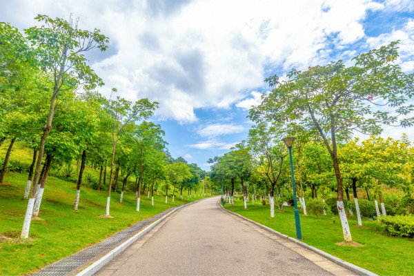太陽能景觀燈好用嗎 如何選擇比較好