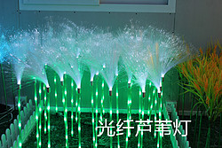 博展光纤芦苇灯