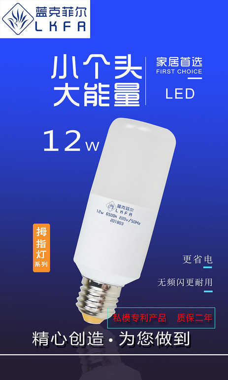 蓝克菲尔12W系列球泡灯