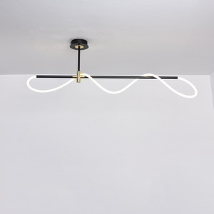 2020新款长条软管高透光线条吊灯现代简约餐厅卧室LED灯具灯饰