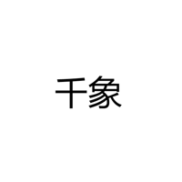 深圳市千象之光照明有限公司