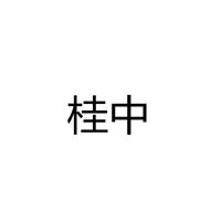 中山市桂中照明科技有限公司