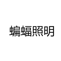 中山市蝙蝠照明电器厂