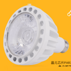 PAR30 COB 灯杯