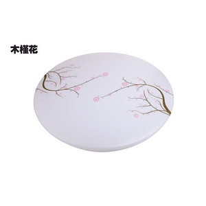 吸顶灯（木槿花）