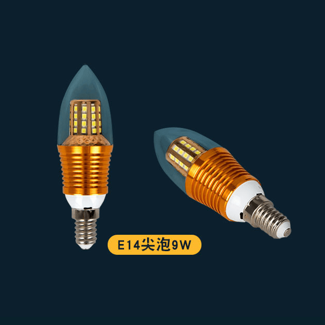 尖泡
