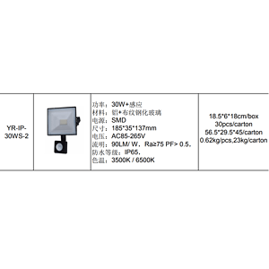 优瑞YR-IP- 30WS-2系列投光灯